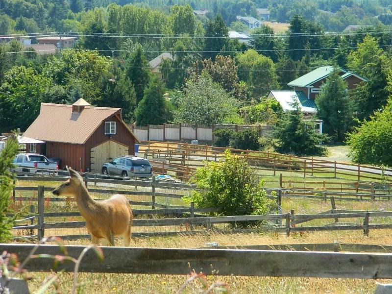 Sq Olympic-View-Cottage Сквім Екстер'єр фото